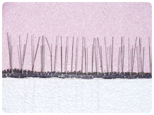 ハトプロテクター ハトプロテクター